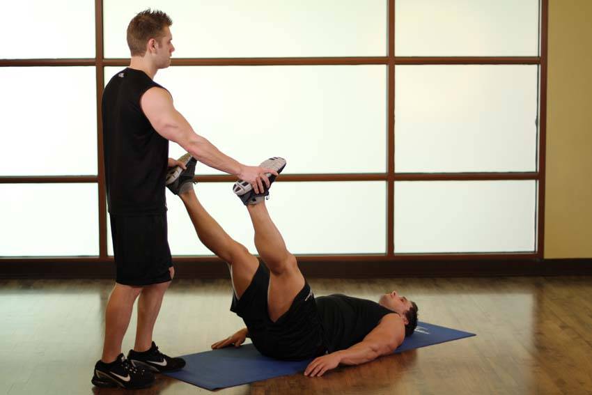 Adductor/Groin