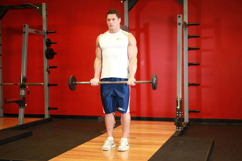 21s Bicep Curl (Barbell)