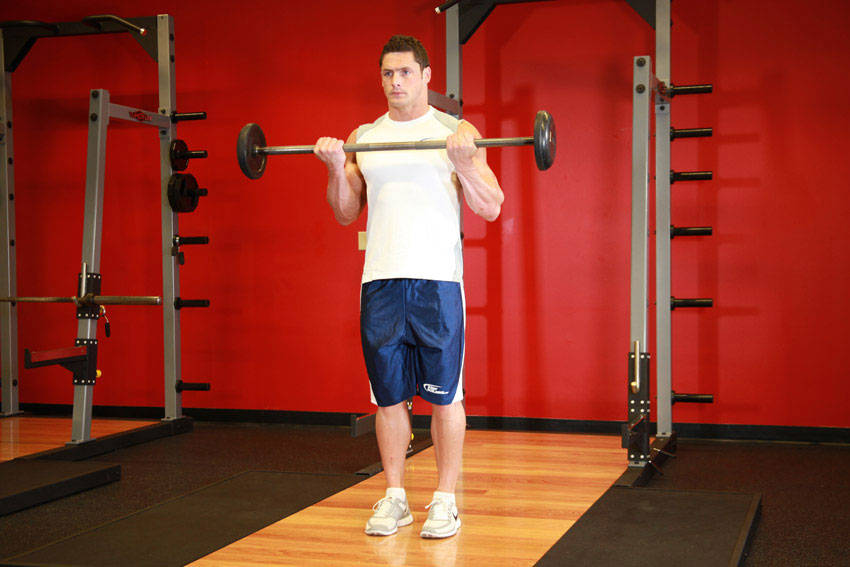 Bicep Curl (Barbell)