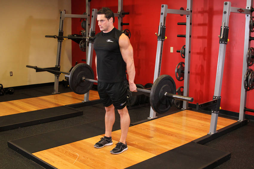 Hack Squat (Barbell)