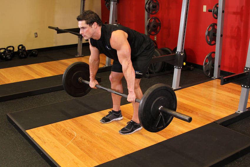 Rear Delt Row (Barbell)