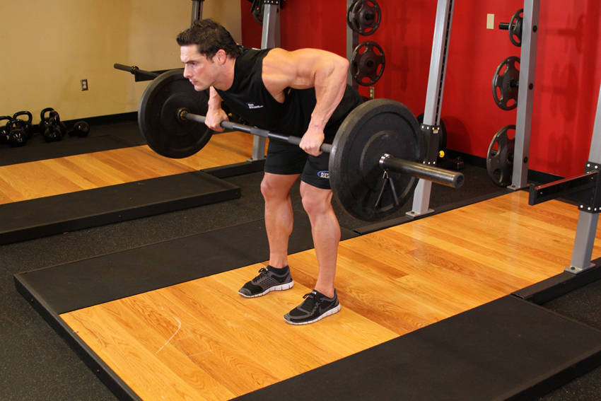 Rear Delt Row (Barbell)