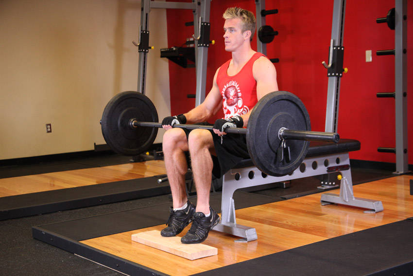 Seated Calf Raise (Barbell)