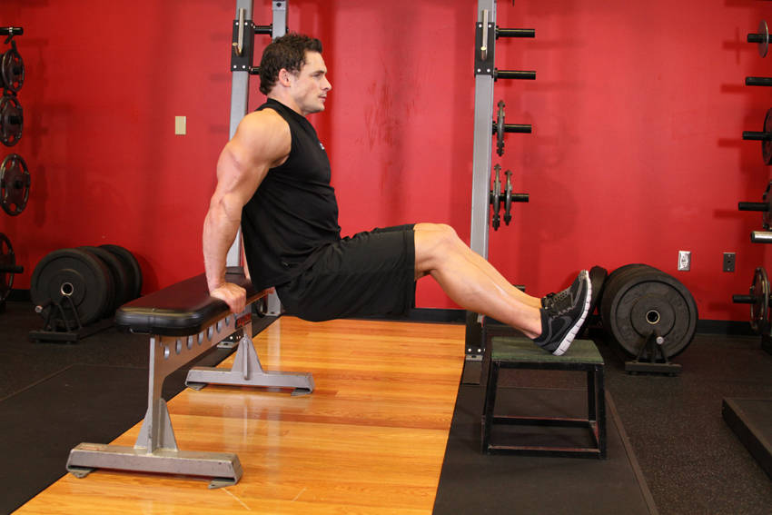 Dips (Bench)