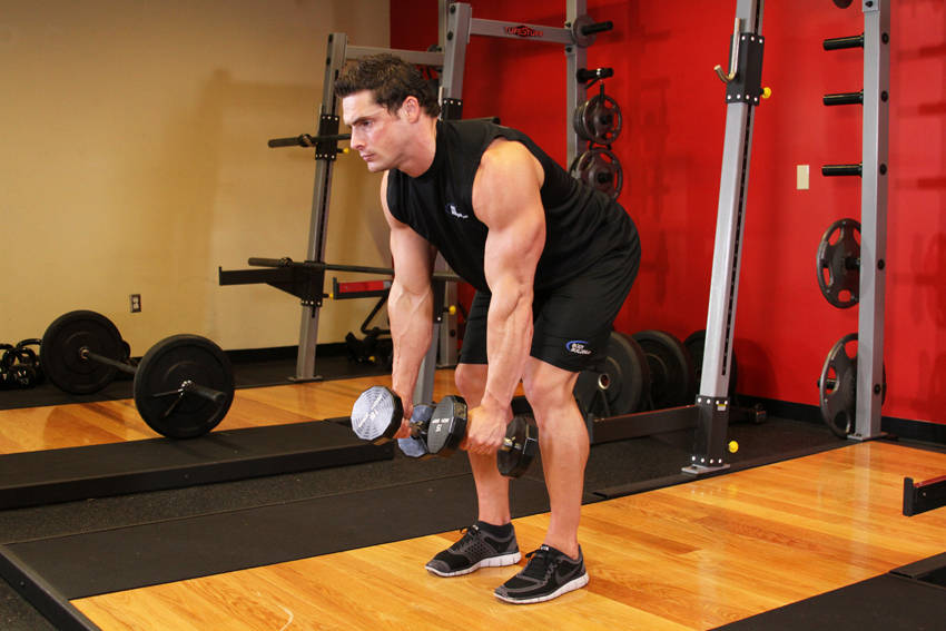 Bent-Over Row (Dumbbell)