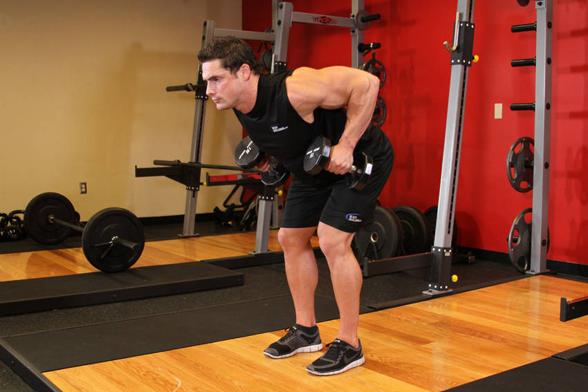 Bent-Over Row (Dumbbell)