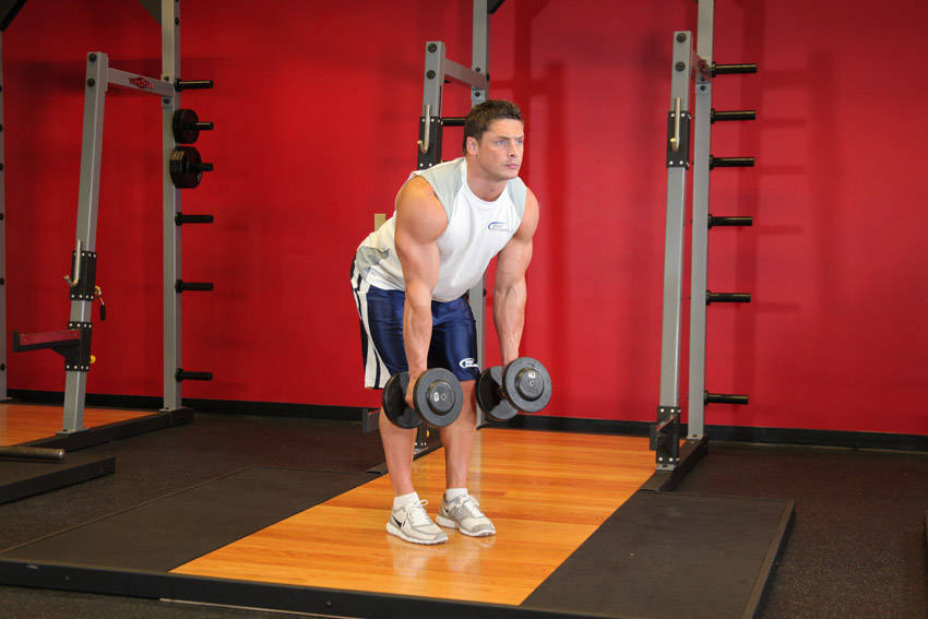 Bent-Over Row Palms-In (Dumbbell)