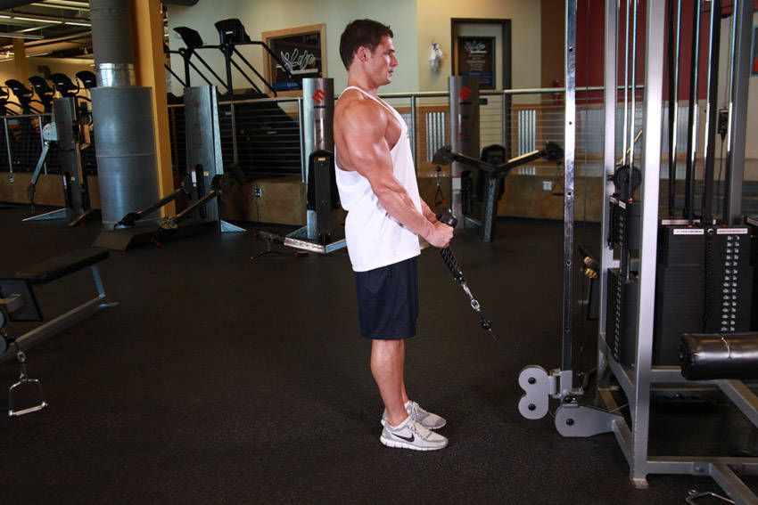Hammer Curls - Rope Attachment (Cable)