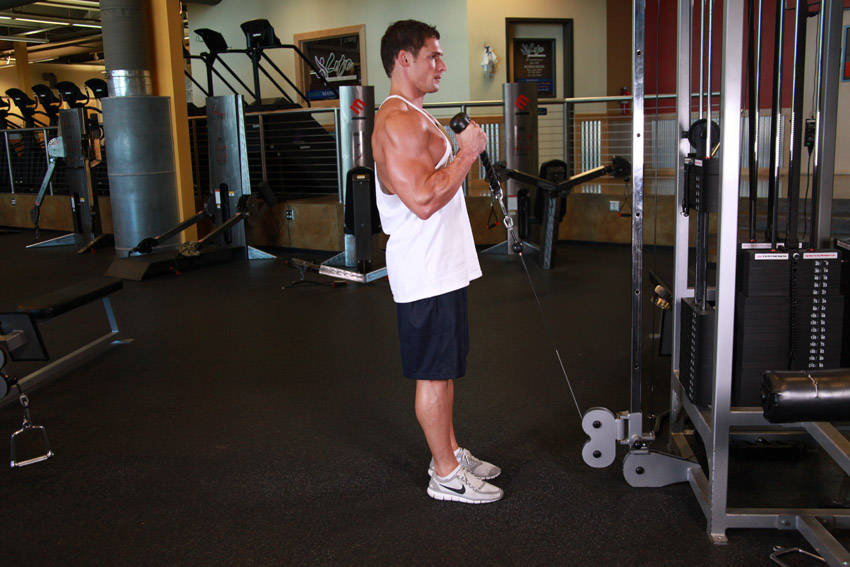 Hammer Curls - Rope Attachment (Cable)
