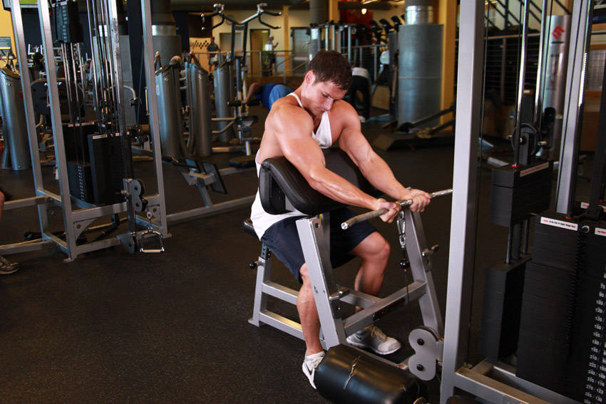 Preacher Curl (Cable)
