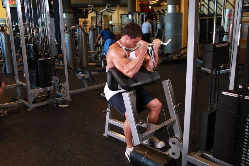 Preacher Curl (Cable)