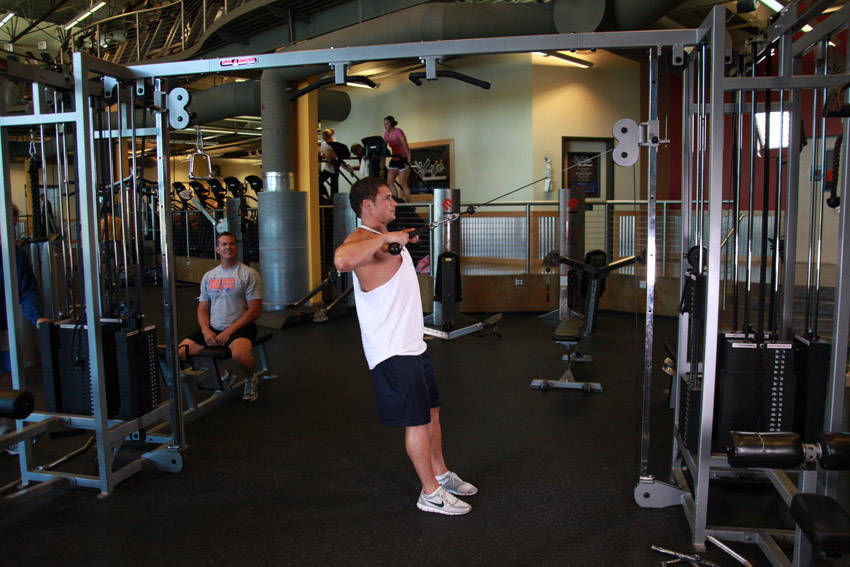 Rope Rear-Delt Rows (Cable)