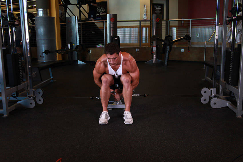 Seated Lateral Raise (Cable)
