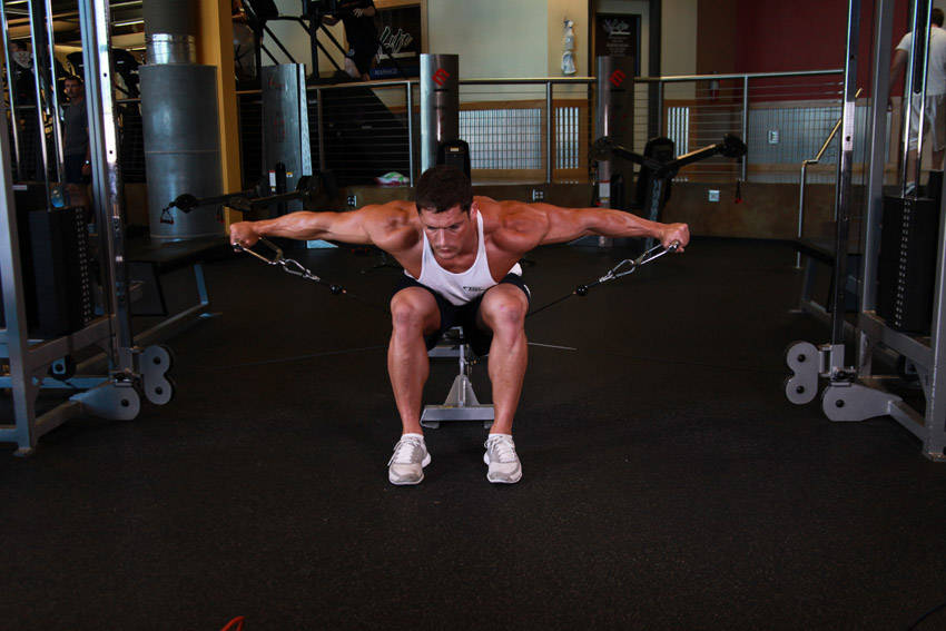 Seated Lateral Raise (Cable)