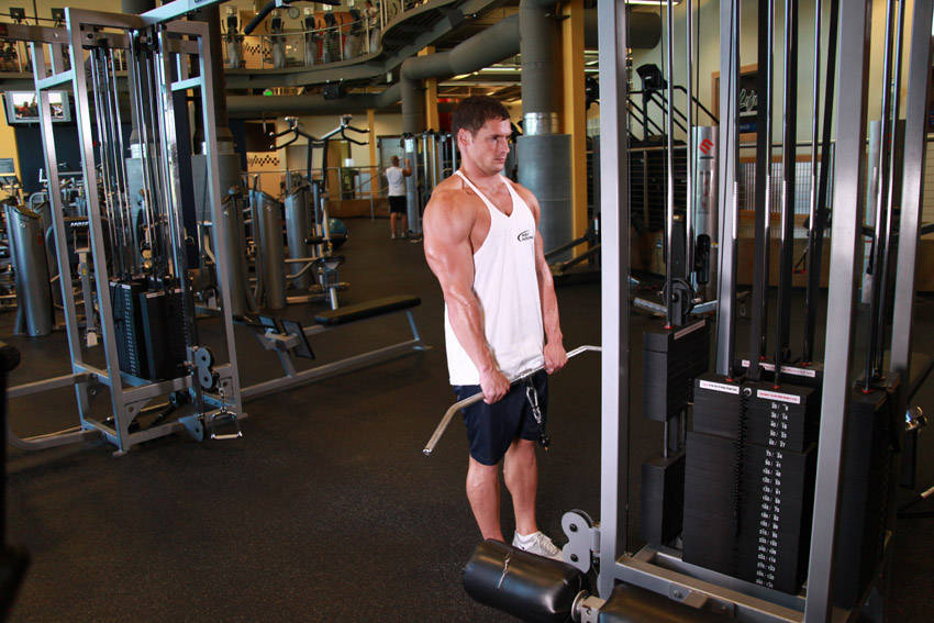 Shrugs (Cable)