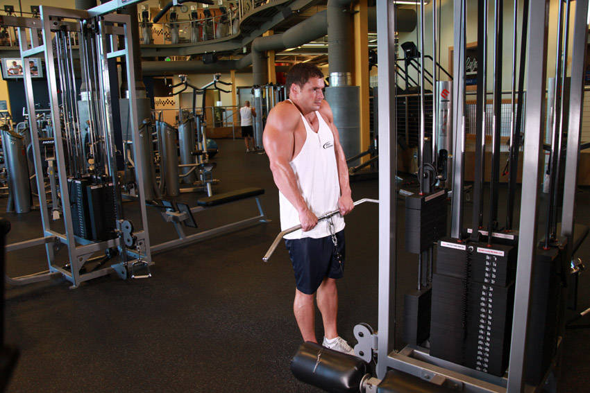 Shrugs (Cable)