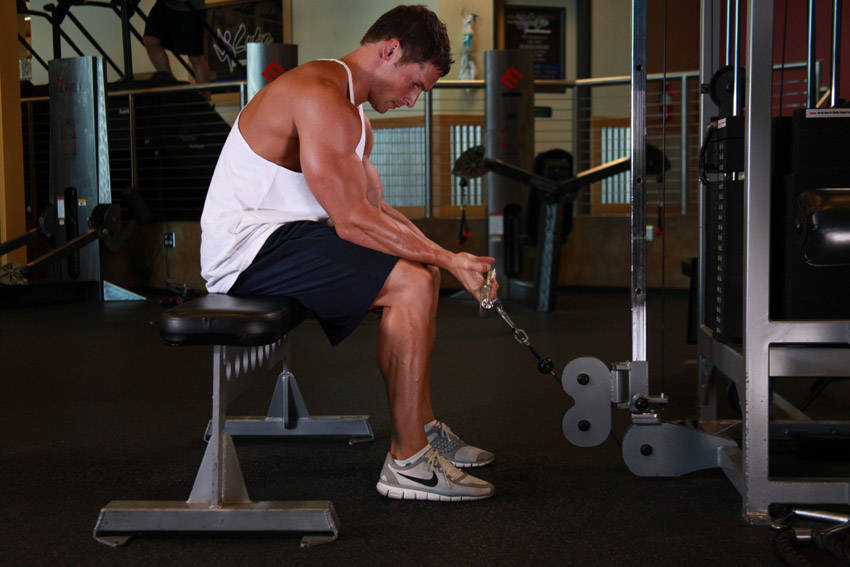 Wrist Curl (Cable)