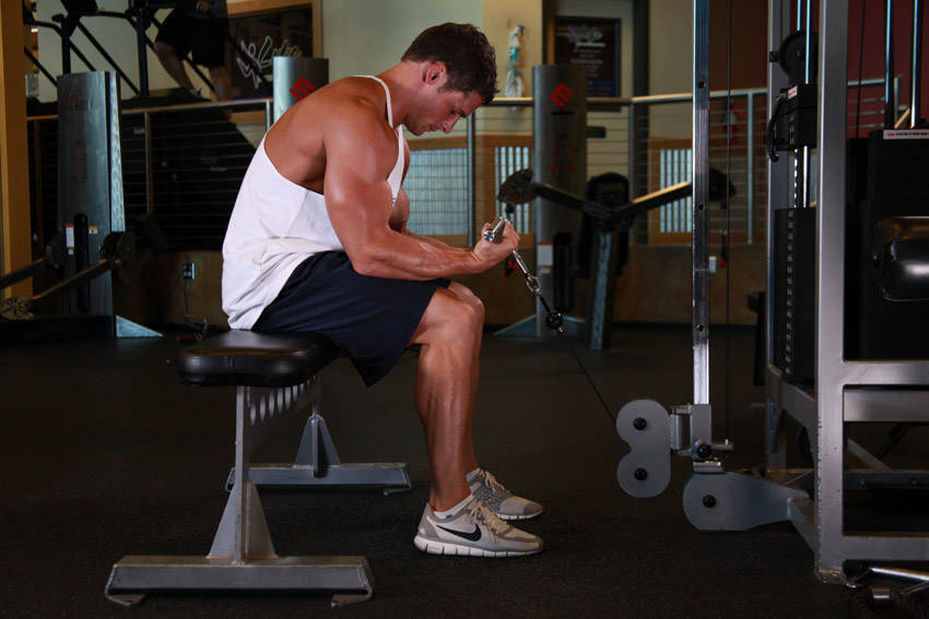 Wrist Curl (Cable)
