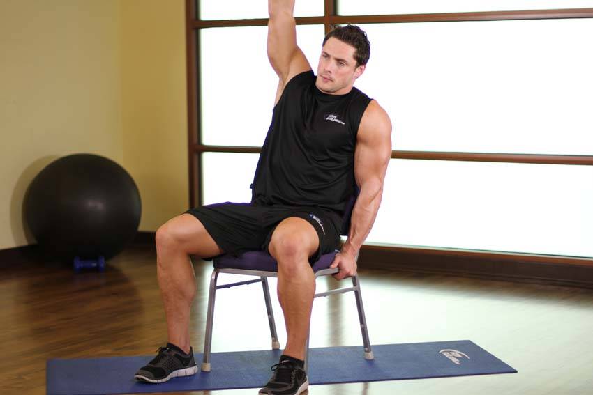 Lower Back Stretch (Chair)