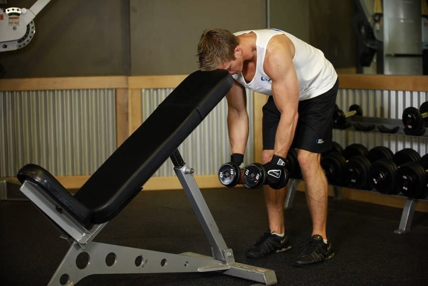 Chest-Supported Reverse Fly (Dumbbell)