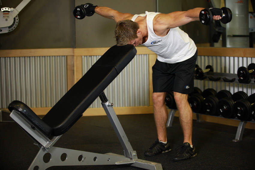 Chest-Supported Reverse Fly (Dumbbell)