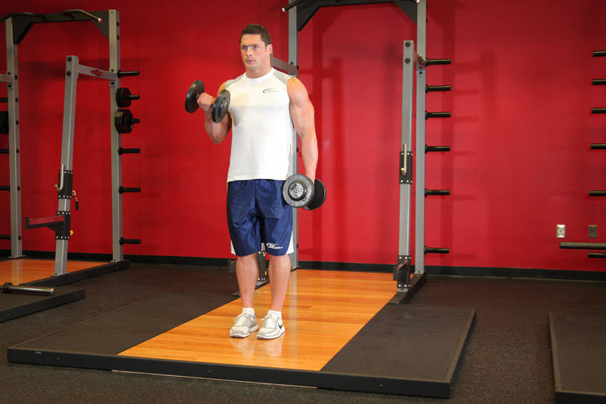 Alternate Bicep Curl (Dumbbell)