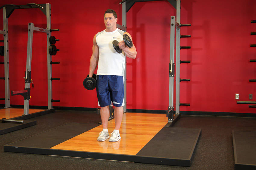 Alternate Bicep Curl (Dumbbell)