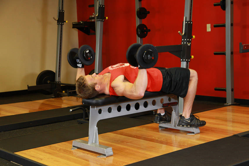 Bench Press (Dumbbell)