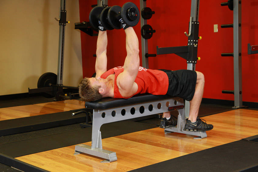 Bench Press (Dumbbell)
