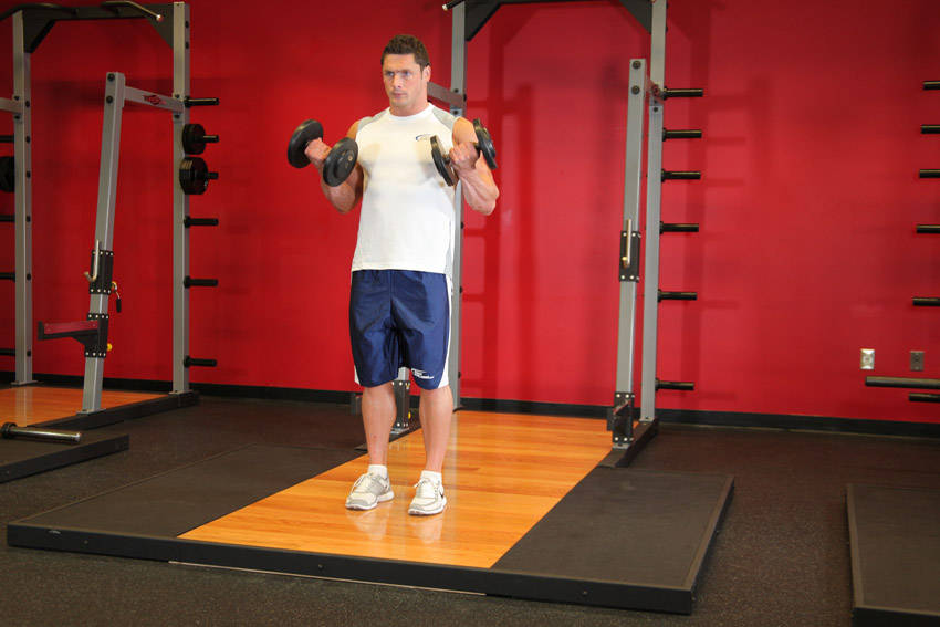 Bicep Curl (Dumbbell)