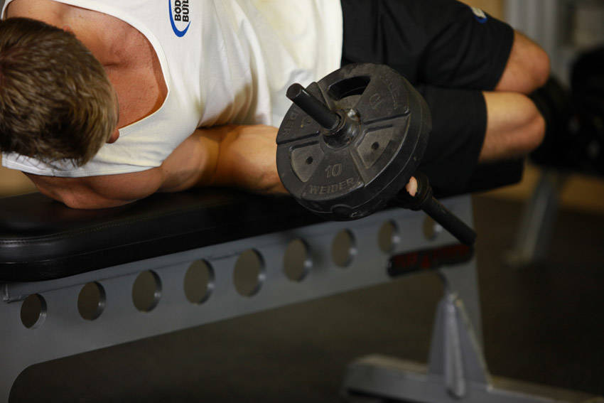 Lying Pronation (Dumbbell)