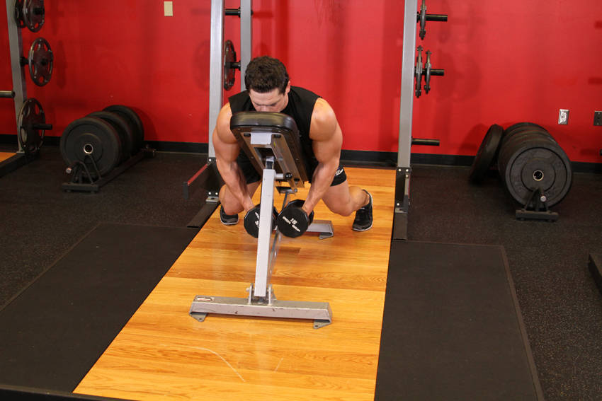 Lying Rear Lateral Raise (Dumbbell)