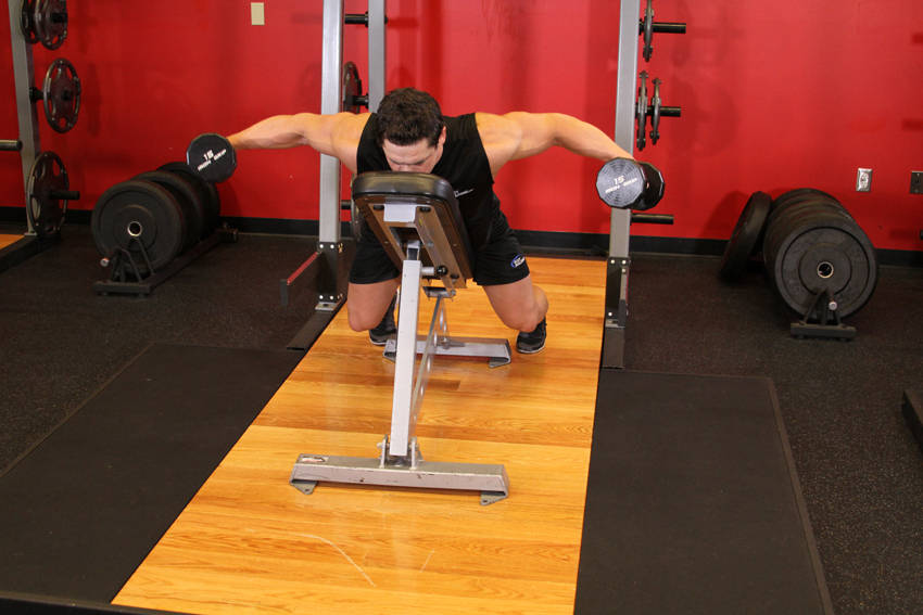 Lying Rear Lateral Raise (Dumbbell)