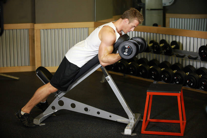 Prone Incline Curl (Dumbbell)