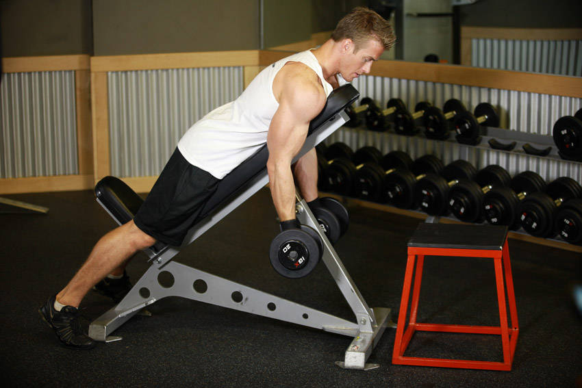 Prone Incline Curl (Dumbbell)