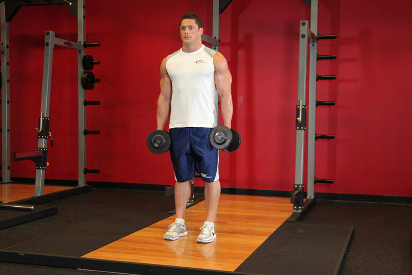 Rear Lunge (Dumbbell)