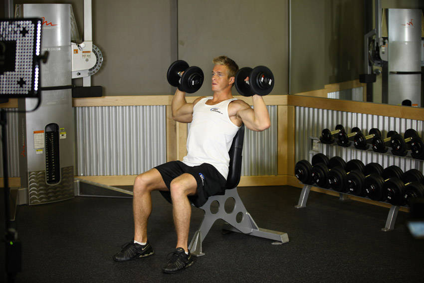 Shoulder Press (Dumbbell)