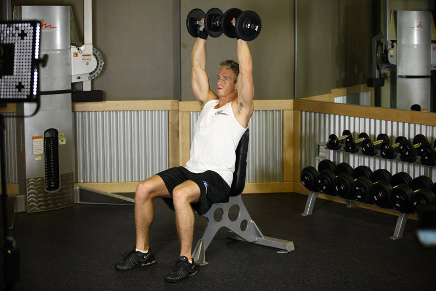 Shoulder Press (Dumbbell)
