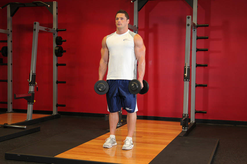 Shrug (Dumbbell)