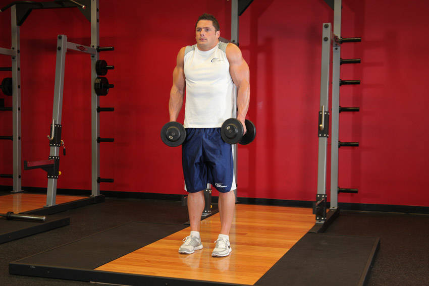 Shrug (Dumbbell)