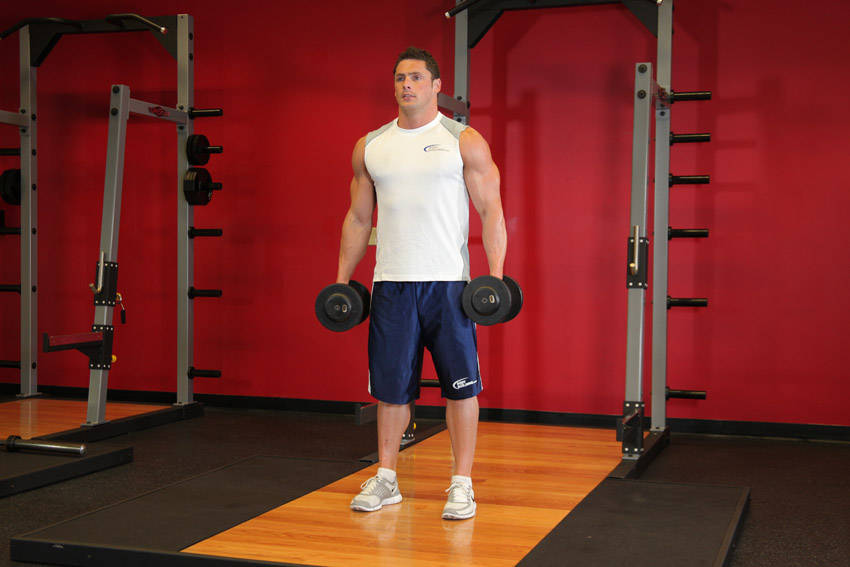Squat (Dumbbell)