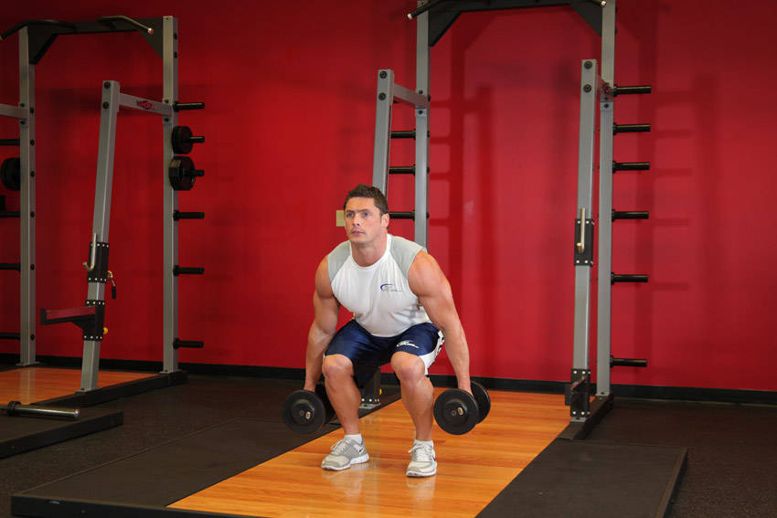Squat (Dumbbell)