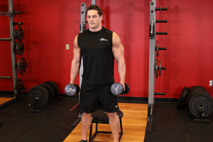 Squat To A Bench (Dumbbell)