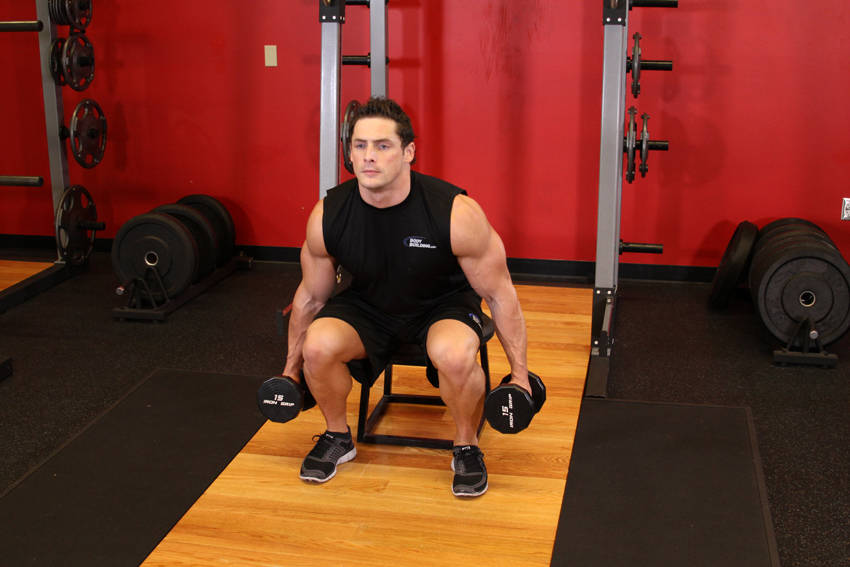 Squat To A Bench (Dumbbell)