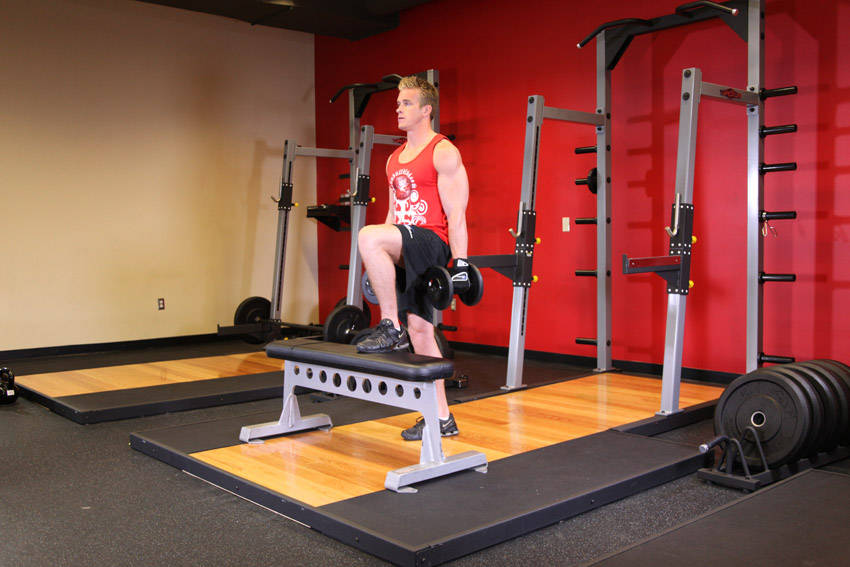 Step Ups (Dumbbell)