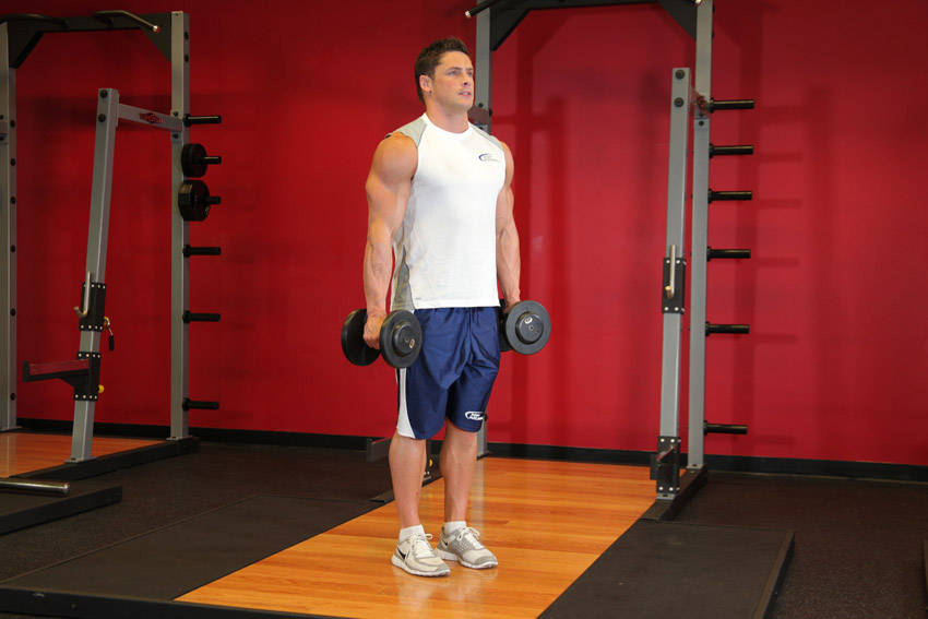 Hammer Curl (Dumbbell)