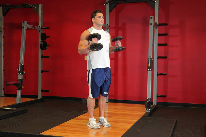 Hammer Curl (Dumbbell)