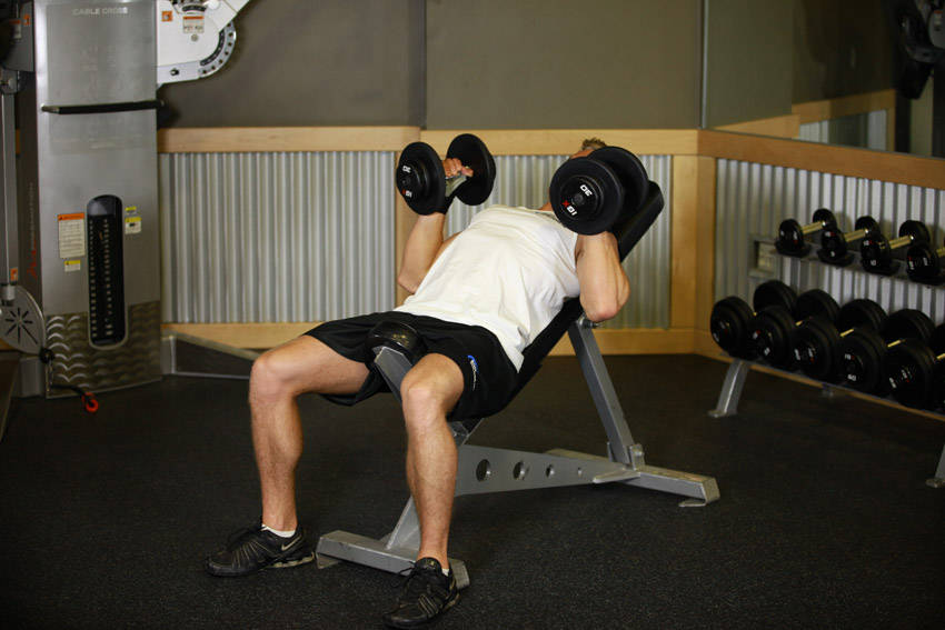 Hammer Grip Incline DB Bench Press