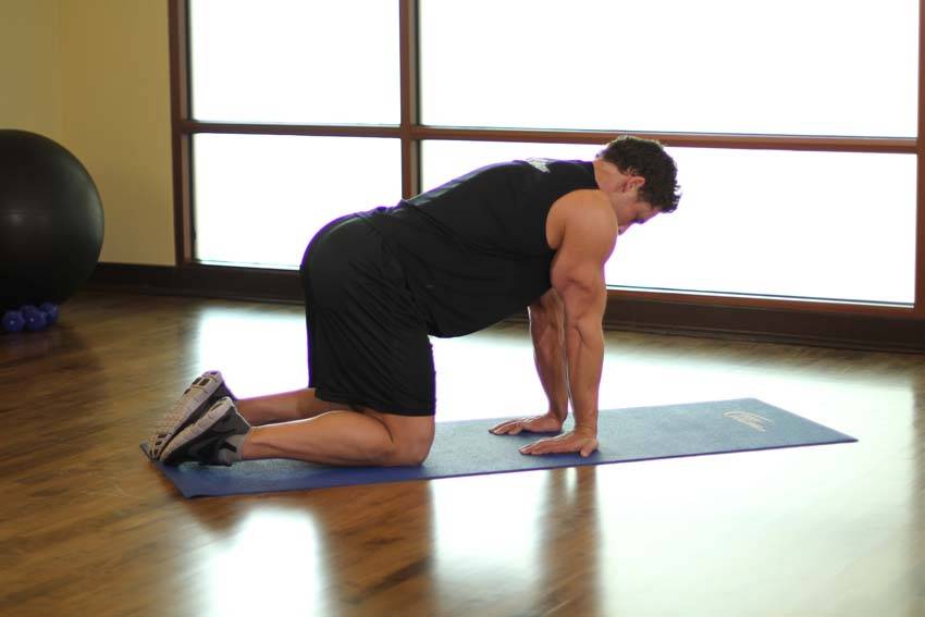 Kneeling Forearm Stretch