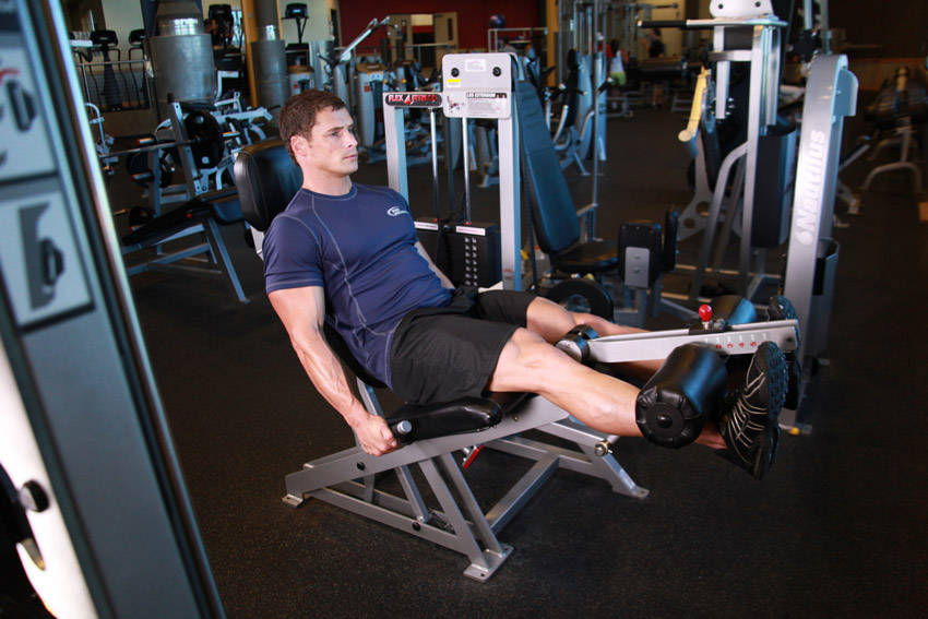 Leg Extension